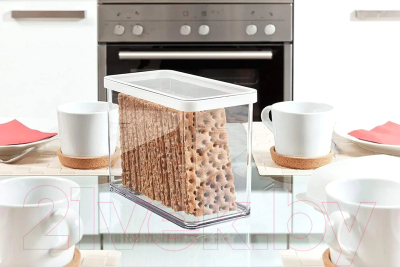 Емкость для хранения Rotho Loft Premium / 1160790000 (прозрачный/белый)