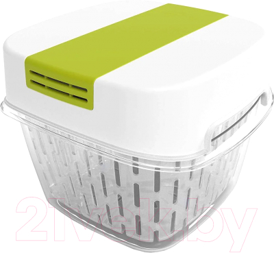 Контейнер Rotho Fresh Dynamic / 1025605070 (лайм) - фото