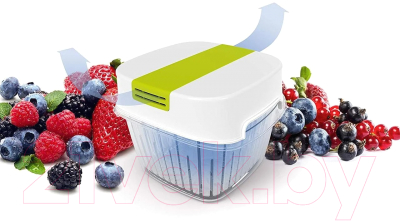 Контейнер Rotho Fresh Dynamic / 1025605070 (лайм)