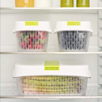 Контейнер Rotho Fresh Dynamic / 1025605070 (лайм)