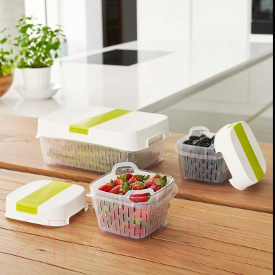 Контейнер Rotho Fresh Dynamic / 1025605070 (лайм)