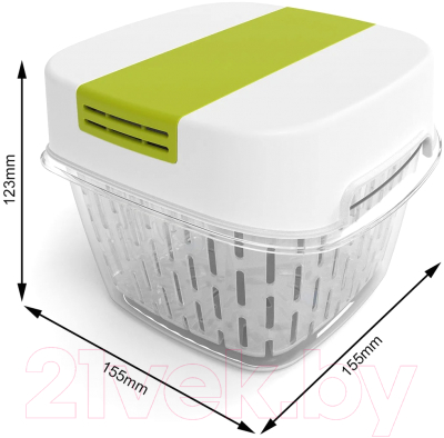 Контейнер Rotho Fresh Dynamic / 1025605070 (лайм)
