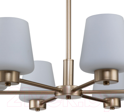 Люстра Indigo Light Tulip V000001