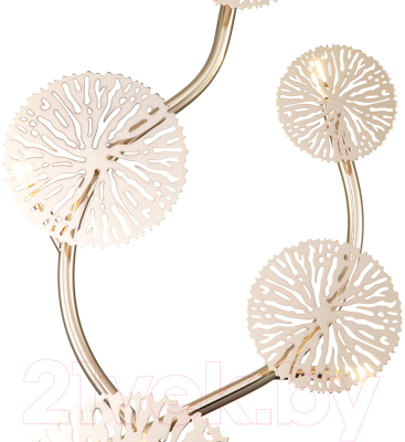 Бра Indigo Light Sole V000009