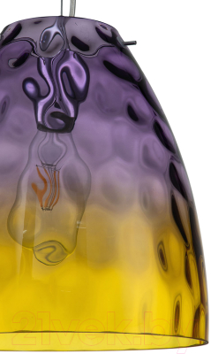 Потолочный светильник Indigo Light Bacca V000294