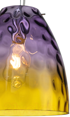 Потолочный светильник Indigo Light Bacca V000294