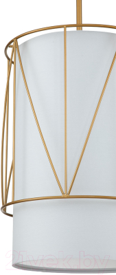 Потолочный светильник Indigo Light Charme V000275