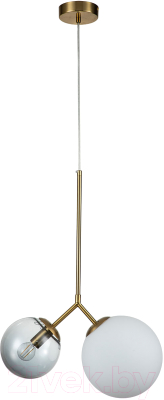 Потолочный светильник Indigo Light Duetto V000113 - фото