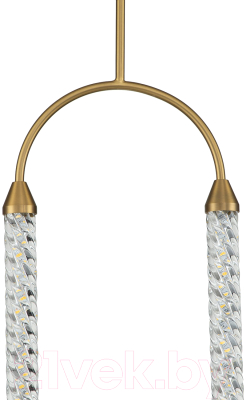 Потолочный светильник Indigo Light Ellisse V000028L