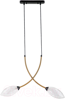 Потолочный светильник Indigo Light Fiore V000140 - фото