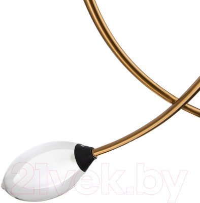 Потолочный светильник Indigo Light Fiore V000141