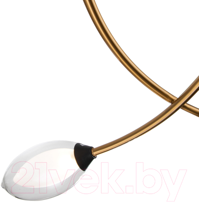 Потолочный светильник Indigo Light Fiore V000141