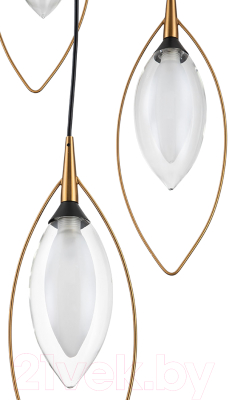 Потолочный светильник Indigo Light Fiore V000143