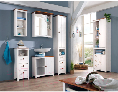 Шкаф для ванной Dipriz Paula Д.70022.1 (белый воск/черри)