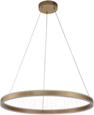 Потолочный светильник Indigo Light Galass V000017L - фото