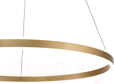 Потолочный светильник Indigo Light Galass V000017L