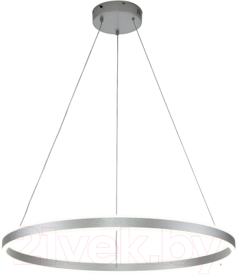 Потолочный светильник Indigo Light Galass V000018L