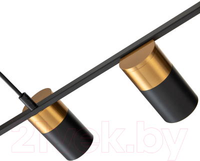 Потолочный светильник Indigo Light Liberta V000146