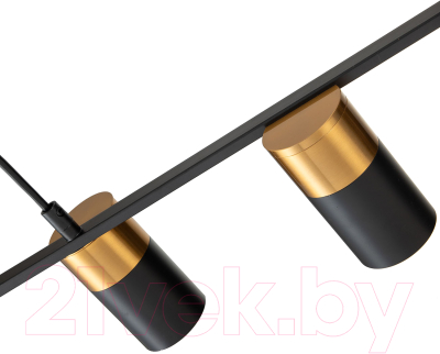 Потолочный светильник Indigo Light Liberta V000146