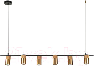 Потолочный светильник Indigo Light Liberta V000149 - фото