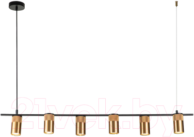 Потолочный светильник Indigo Light Liberta V000149