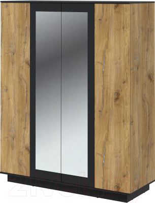 Шкаф Интерлиния Quartz QZ-ШК3 (дуб нокс/черный) - фото