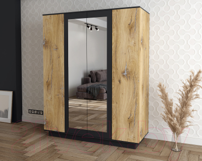 Шкаф Интерлиния Quartz QZ-ШК3 (дуб нокс/черный)