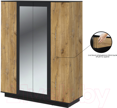 Шкаф Интерлиния Quartz QZ-ШК3 (дуб нокс/черный)
