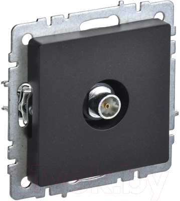 Розетка IEK BR-A10-O-K02 - фото