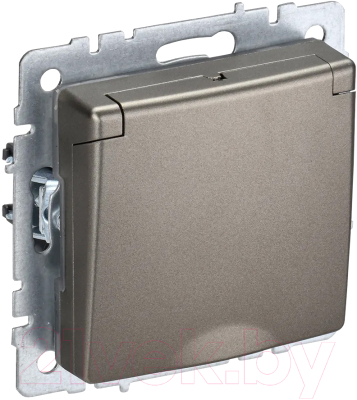 Розетка IEK Brite BR-R16-16-K37 - фото