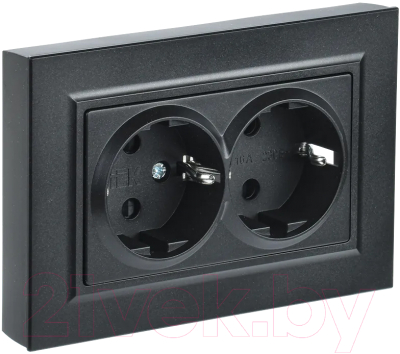 Розетка IEK Brite BR-R21-16-K02-F - фото