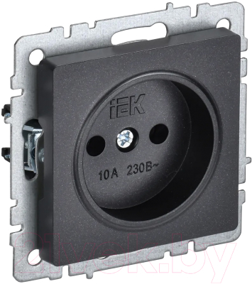 Розетка IEK Brite BR-R10-10-K02 - фото