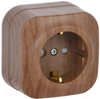 Розетка IEK Glory ERH14-K24-16 - фото