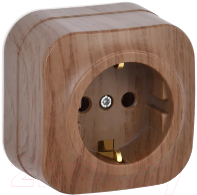 Розетка IEK Glory ERH11-K24-16 - фото