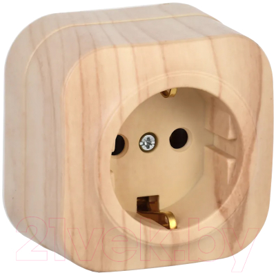 Розетка IEK Glory ERH11-K34-16 - фото