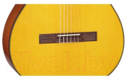 Акустическая гитара Takamine G-Series Classical GC1-NAT