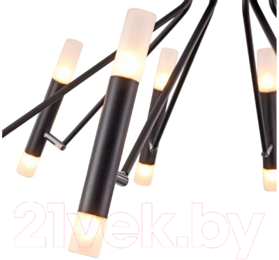 Люстра Maytoni Vigo MOD620CL-16B