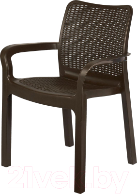 Стул пластиковый Ingreen Rattan / ING6182ГШК (горький шоколад) - фото
