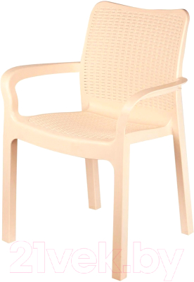 Стул пластиковый Ingreen Rattan / ING6182СЛВ - фото