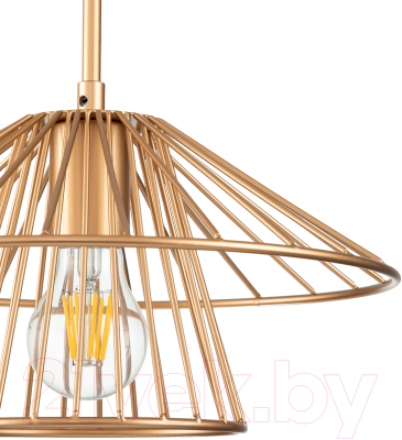 Потолочный светильник Indigo Light Strato V000285