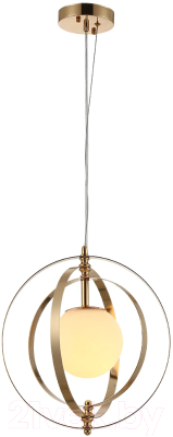 Потолочный светильник Indigo Light Trevi V000271 - фото