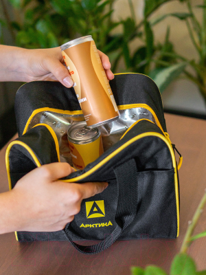 Термосумка Арктика 3300-7-BK