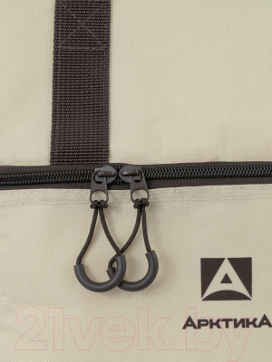 Термосумка Арктика 3600-11-BG