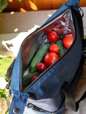 Термосумка Арктика 3600-11-BL