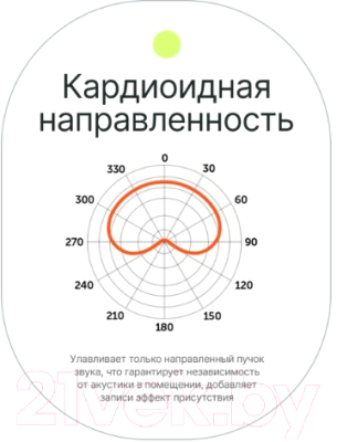 Микрофон RayLab Rec MiniMic / RLCDMM