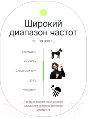 Микрофон RayLab Rec MiniMic / RLCDMM