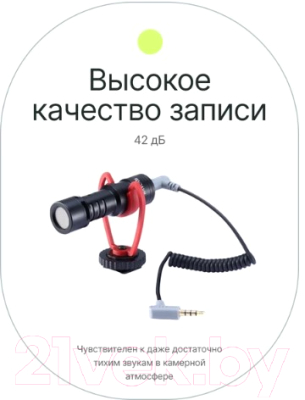 Микрофон RayLab Rec MiniMic / RLCDMM