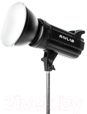 Осветитель студийный RayLab RL-100 Sunlight 5600K - фото