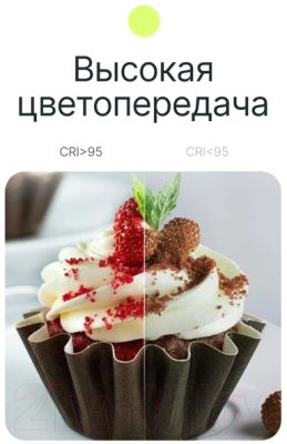 Осветитель студийный RayLab RL-15