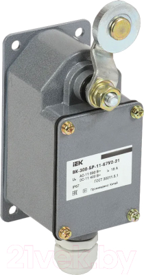 Выключатель концевой IEK KV-1-300-1 - фото